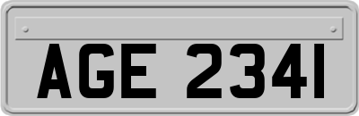 AGE2341