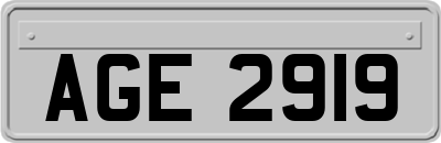 AGE2919