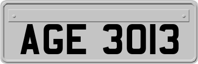 AGE3013