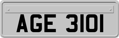 AGE3101