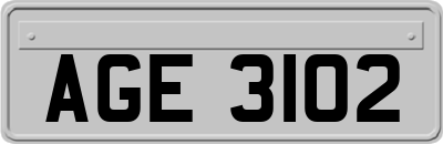AGE3102