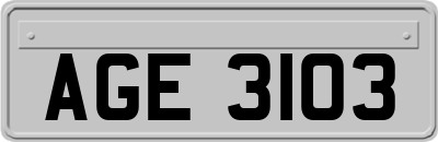 AGE3103