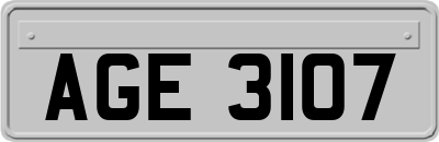 AGE3107