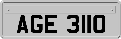 AGE3110