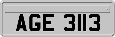 AGE3113