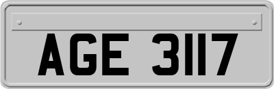 AGE3117