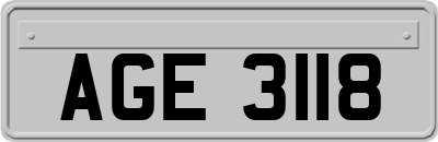 AGE3118