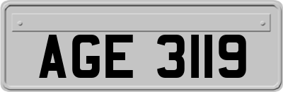 AGE3119