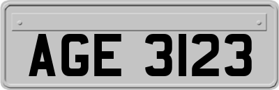 AGE3123