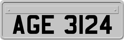 AGE3124