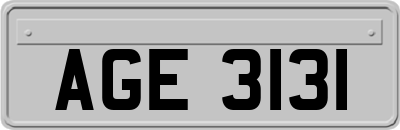 AGE3131