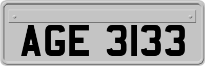 AGE3133