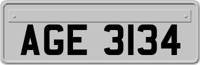 AGE3134