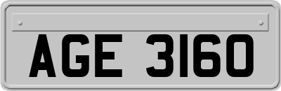 AGE3160