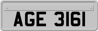 AGE3161