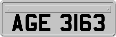 AGE3163