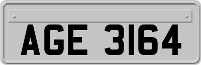 AGE3164