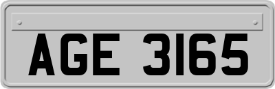 AGE3165