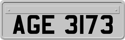 AGE3173