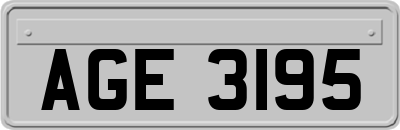 AGE3195