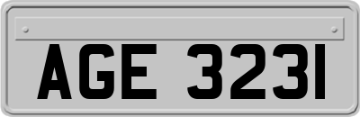 AGE3231