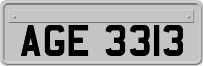 AGE3313