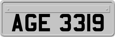 AGE3319