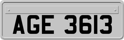 AGE3613