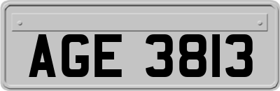 AGE3813