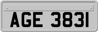 AGE3831