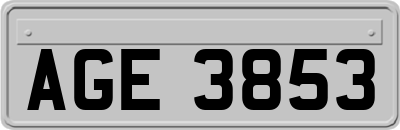 AGE3853