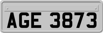 AGE3873