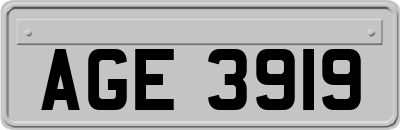 AGE3919