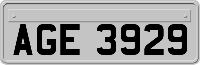 AGE3929
