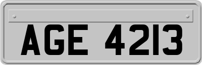 AGE4213