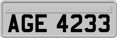 AGE4233