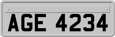 AGE4234