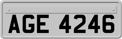 AGE4246