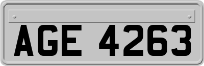 AGE4263