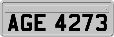 AGE4273