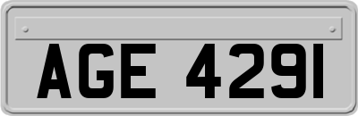 AGE4291