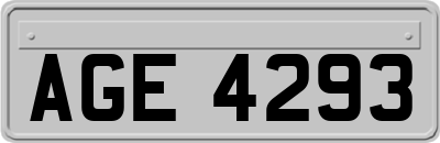 AGE4293