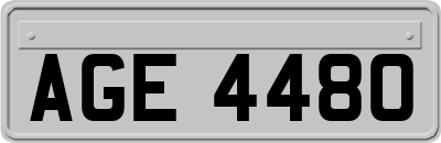 AGE4480