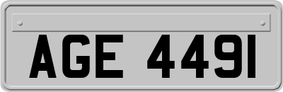 AGE4491