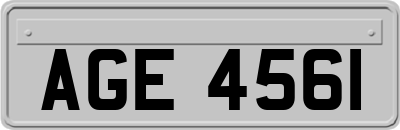 AGE4561