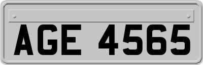 AGE4565