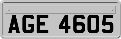 AGE4605