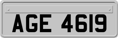AGE4619