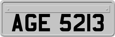 AGE5213