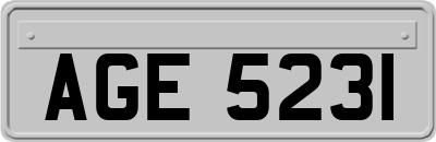 AGE5231